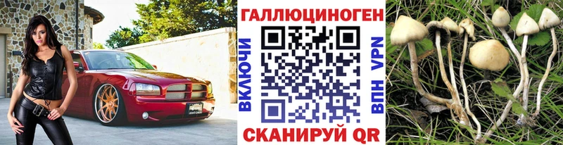 Псилоцибиновые грибы MAGIC MUSHROOMS  хочу наркоту  omg онион  даркнет состав  Николаевск 