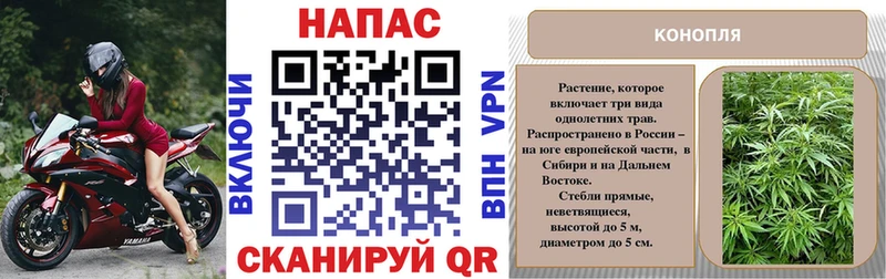 сколько стоит  Николаевск  МАРИХУАНА MAZAR 